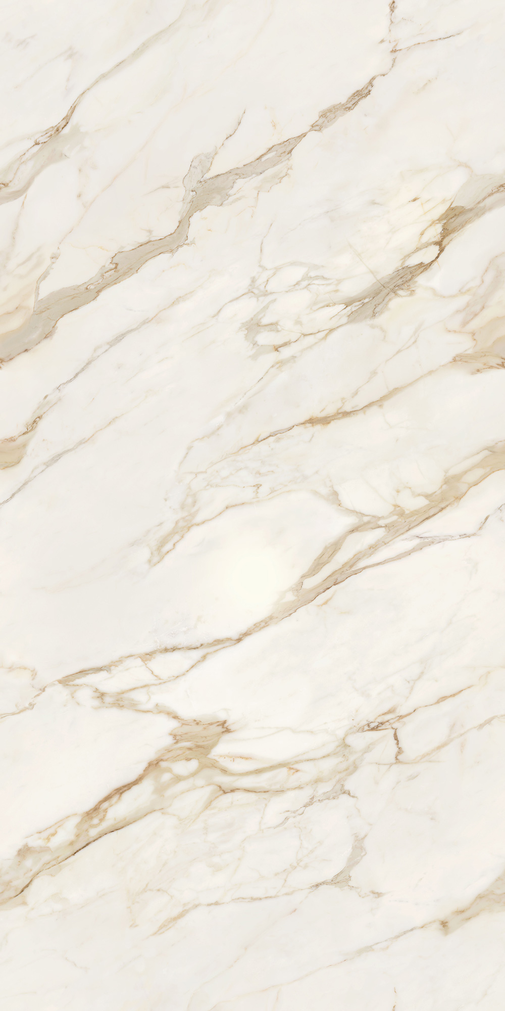 GOLDEN WHITE