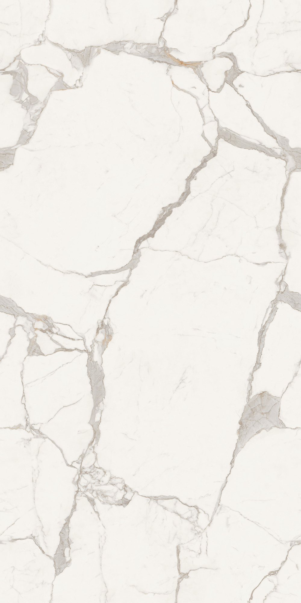 MAJESTIC WHITE