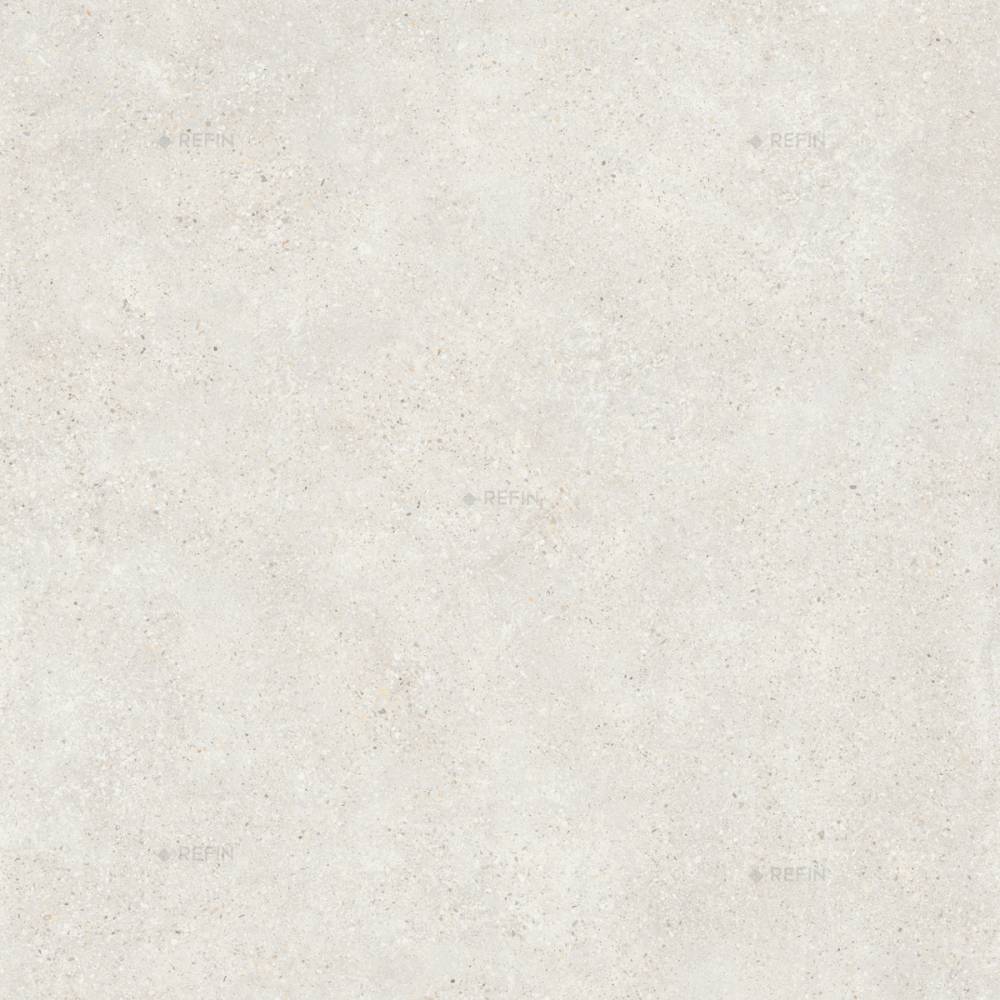 MOLD MIST